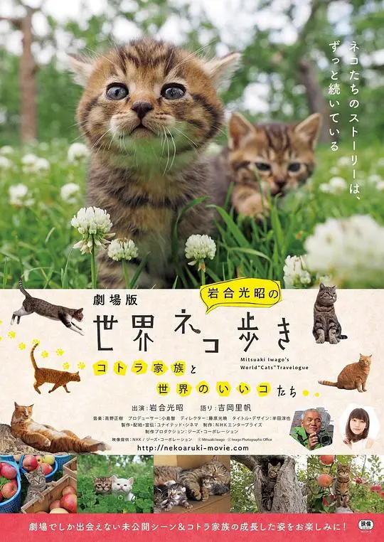 《捉喵记》：温暖治愈，爱与陪伴的猫咪奇遇记！一场充满惊喜与感动的生命对话！